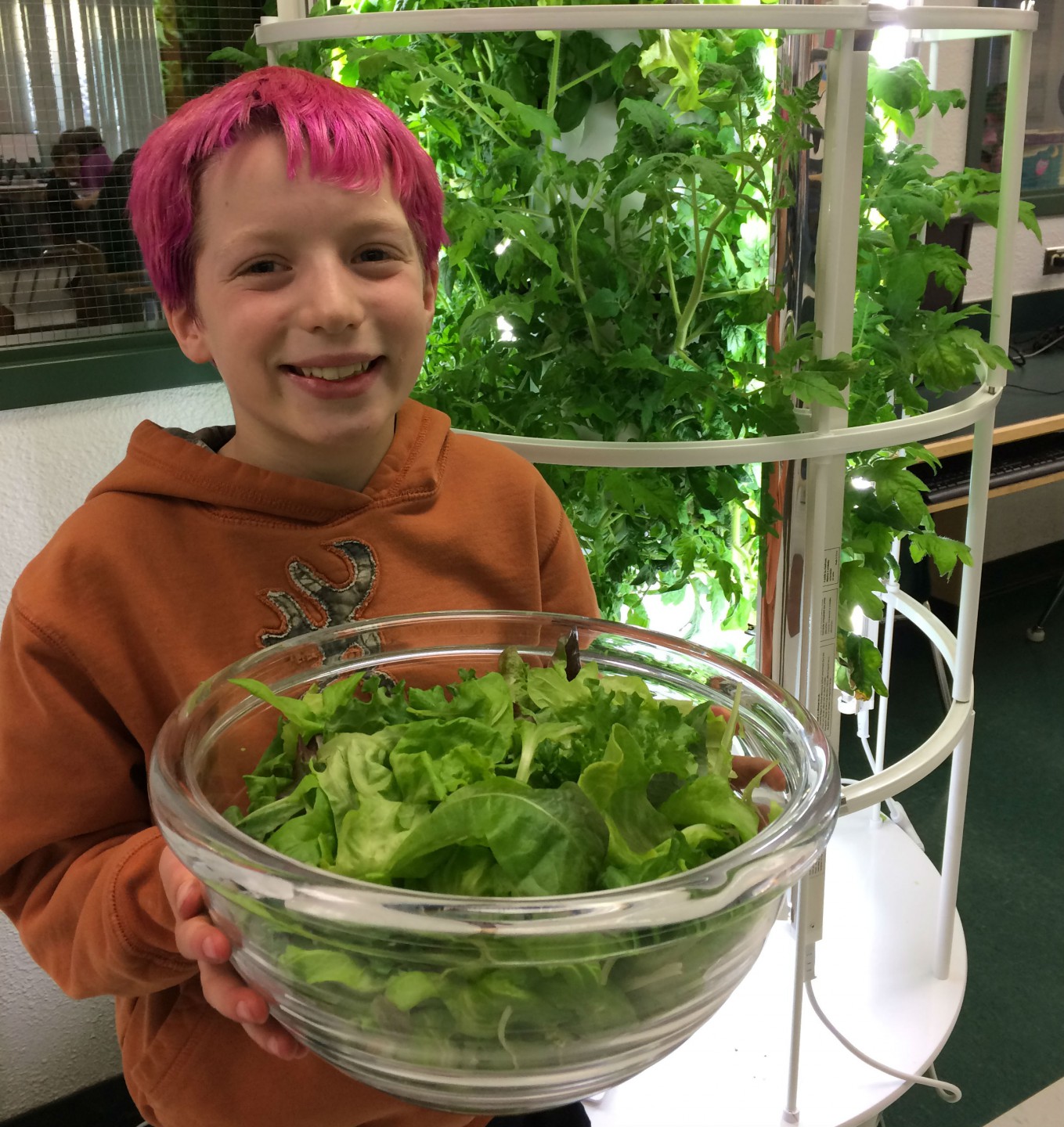 Teachers use tower gardens to enhance Science lessons Pembina Hills School Division
