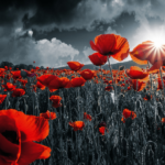 Remembrance-Day-spotlight-website-2021_640x525_acf_cropped-1