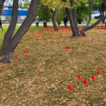 20240923_125602 – Edited